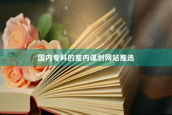 国内专科的室内谋划网站推选
